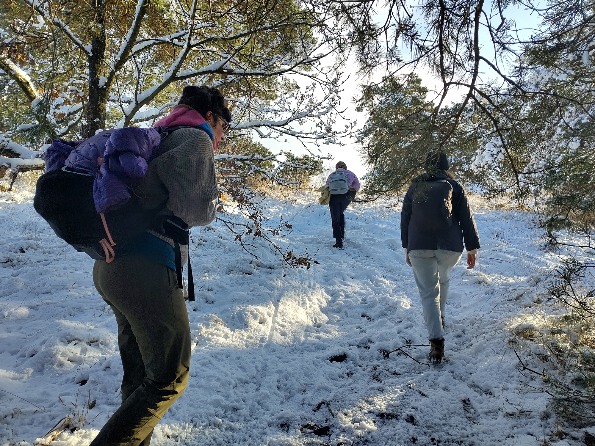 Marche exploratoire, flanc de Vesdre, neige, janvier 2025